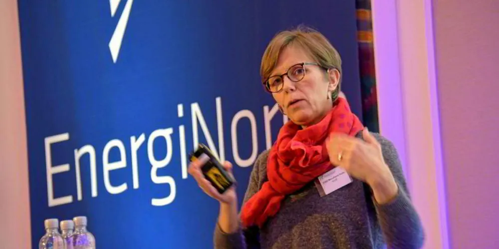 Eldri Holo i NVE trekker fram dataangrepet på Hydro som et eksempel på hvordan en virksomhet kan rammes, uten at det nødvendigvis treffer selve produksjonen. Administrative systemer kan for eksempel bli hacket.