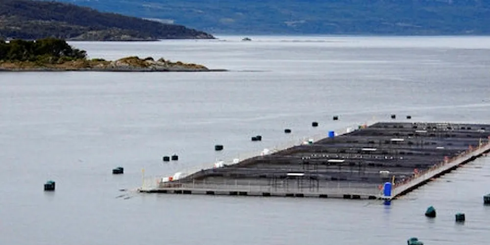 Changing of the guard at Chilean salmon farms.