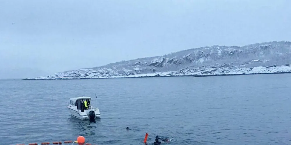 RIKTIG SIKKERHETSUTSTYR: Dykkere kommer tett på båtene utenfor Skjervøy som fisker sild i håp om å få se knølhval og spekkhuggere. Dykkerne på dette bildet hadde imidlertid fått tillatelse til å dykke tett på båtene her, og bruker riktig sikkerhetsutstyr, samt dykkerbøye.Foto: Privat
