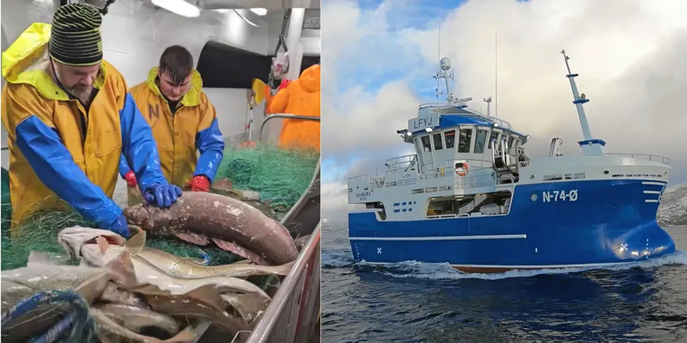 Mannskapet på «Havbåra» melder om stor og flott skrei utenfor Myre. De stubber bare garna og lar de ikke stå over natta.