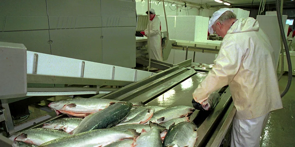 Salmon prices were up slightly in week 48.