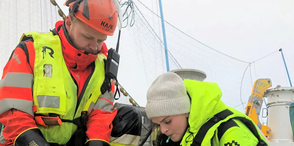 Mennesket er naturligvis vidt forskjellig fra laks, men er vi på enkelte områder kanskje mer lik enn vi tror?Bildet viser blodprøvetaking av oppdrettslaks.