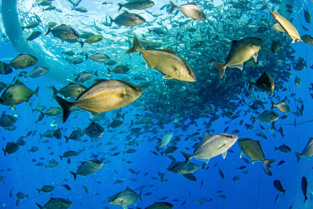 The value of ocean-related deals tripled between 2018 and 2023 compared with the preceding five-year period.