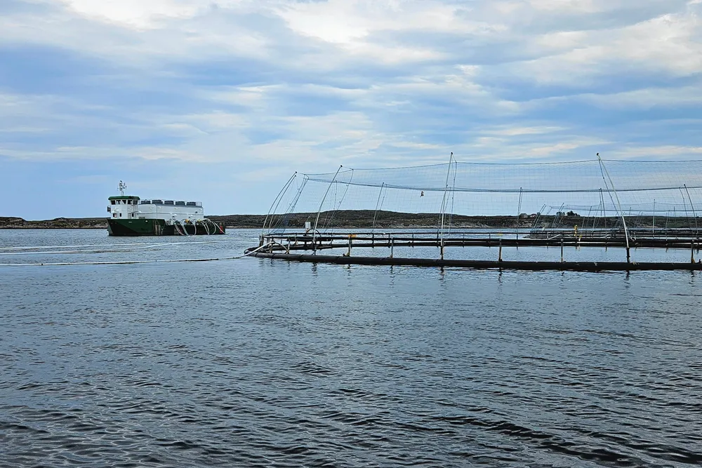 Måsøval sin lokalitet Lamøya utenfor Sistranda på Frøya.