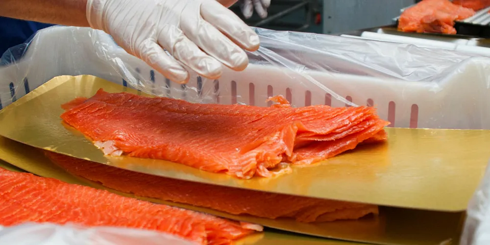 Salmon prices saw a significant jump in week 16.