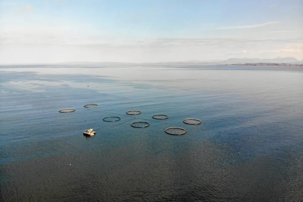 Organic Sea Harvest produced its first organic salmon off the coast of Skye in 2021.