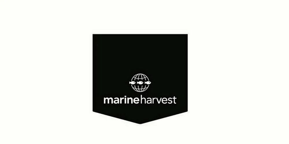 Marine Harvest is the world's largest producer of Atlantic salmon.