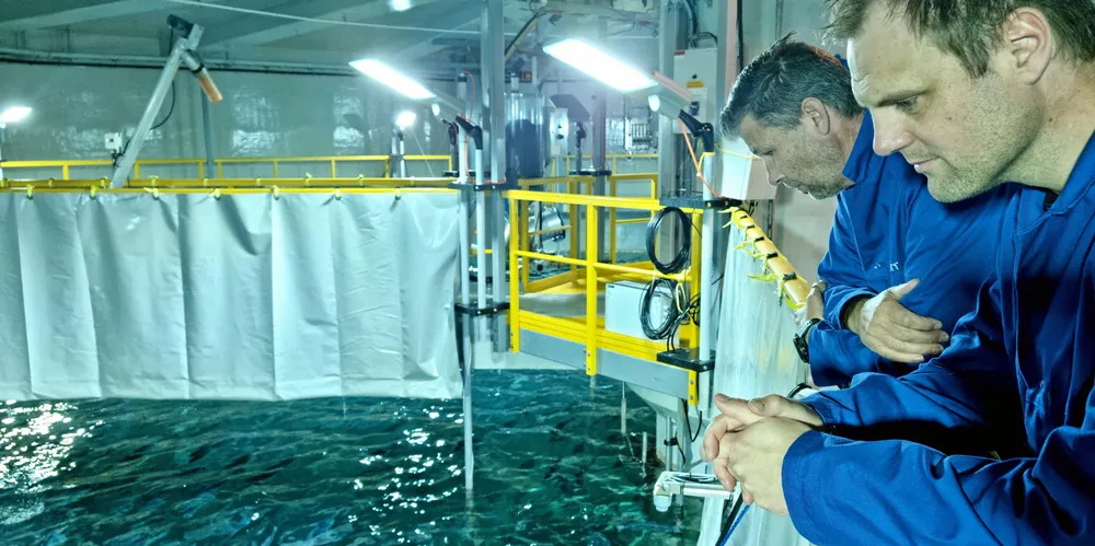 Salmon Evolution driver oppdrett av landbasert laks på Indre Harøy utenfor Molde.