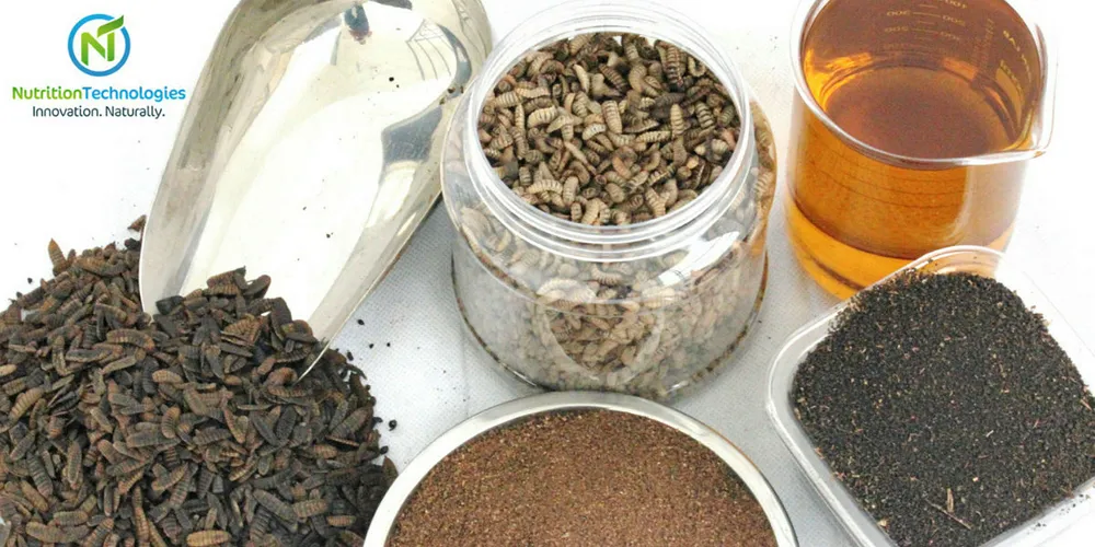 Nutrition Technologies plan to scale up in Singapore.