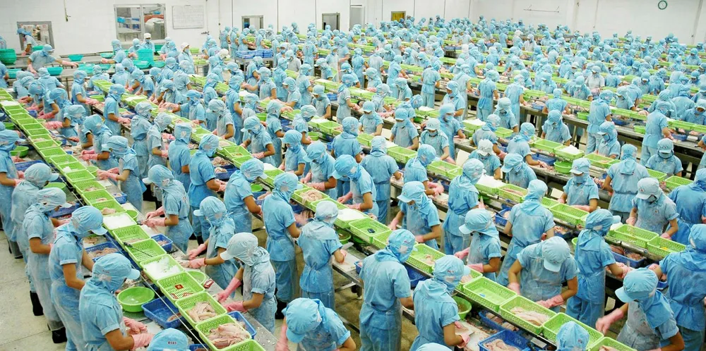 Vietnam processing plant.