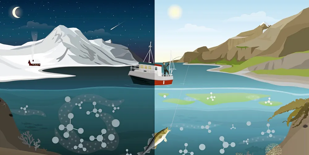 Livet i havet er avhengig av næringssalter. Det gjelder også fisk.