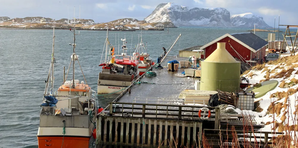 I april var førstehåndsprisen på fryst torsk 12 kroner høyere enn for fersk, det dobbelt av snittet fra 2019 til 2021.