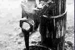 Pumping it up: crude, otherwise known as black gold