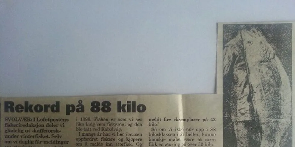 Denne skreien, fisket så langt tilbake som i 1888, veide hele 88 kilo. (Avisutklipp fra Lofotposten, innsendt av Ilone Tatjana Giske).