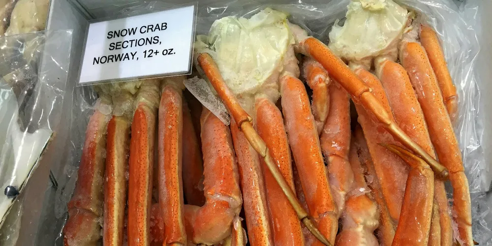 Norwegian snow crab