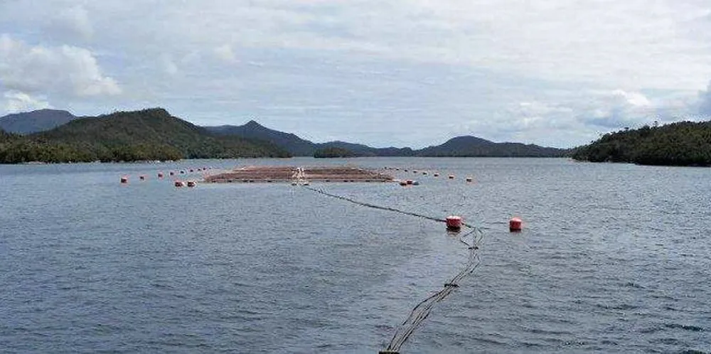 A suspected outbreak of infectious salmon anemia (ISA) is being monitored in Flatanger municipality in the Trondelag region of central Norway. The picture is not related to the event.