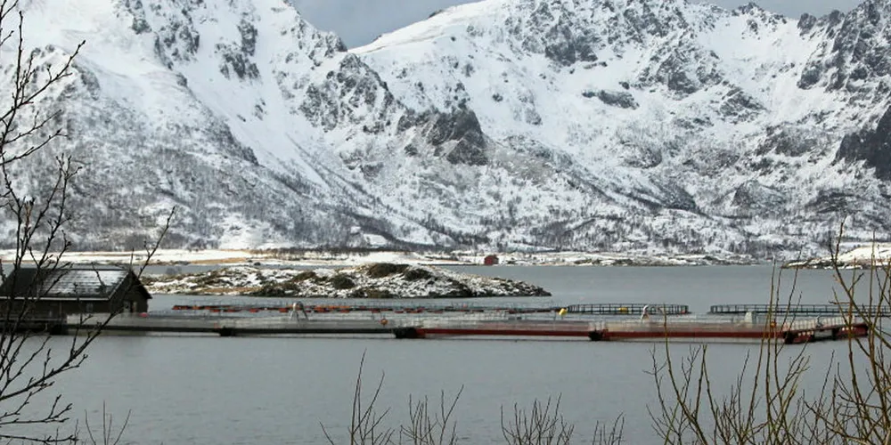 Nordland salmon farms.