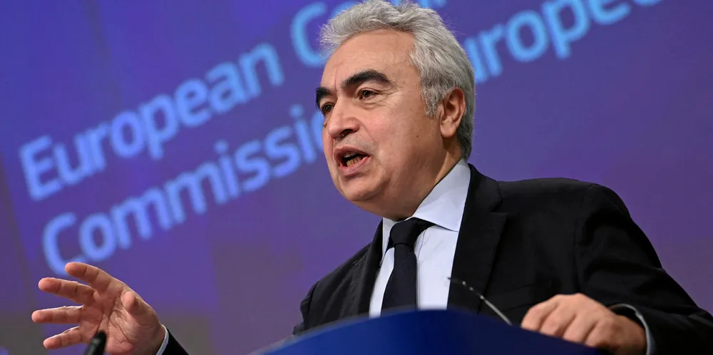 IEA Executive Director Fatih Birol warned 'don't put all the eggs in one basket' when it comes to the energy transition.