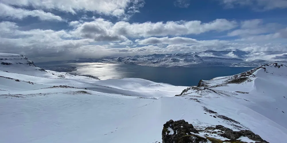 The first case of infectious salmon anemia was detected in Iceland last last year.