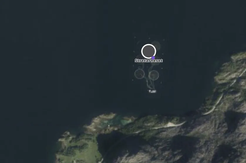 ILA-mistanke hos Holmøy Havbruk på lokaliteten Stretarneset.