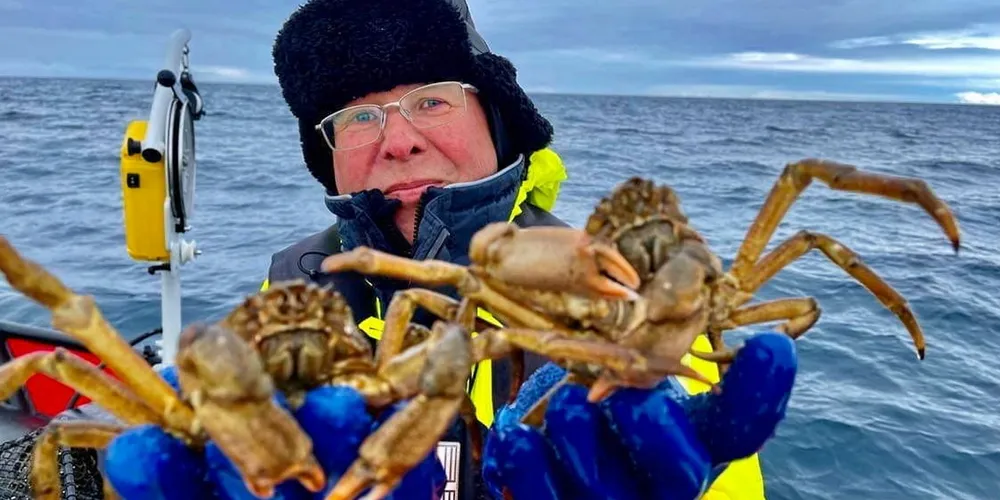 Sten Siikavuopio og Nofima fikk i dag åtte snøkrabber ved Svalbard på forsøksfiske.
