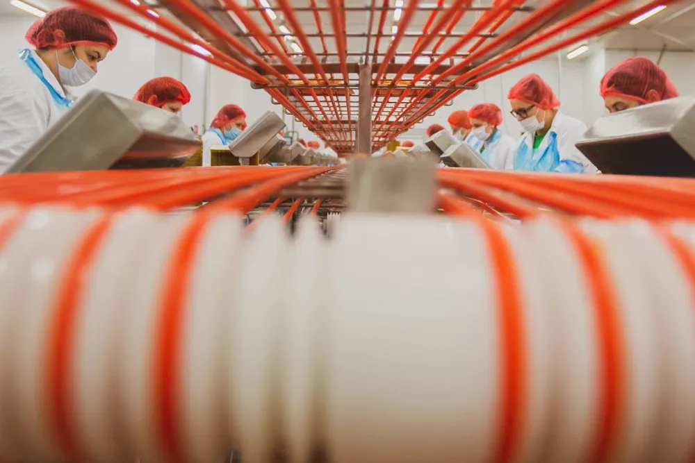 Poland serves as Mowi's central processing hub in Europe.