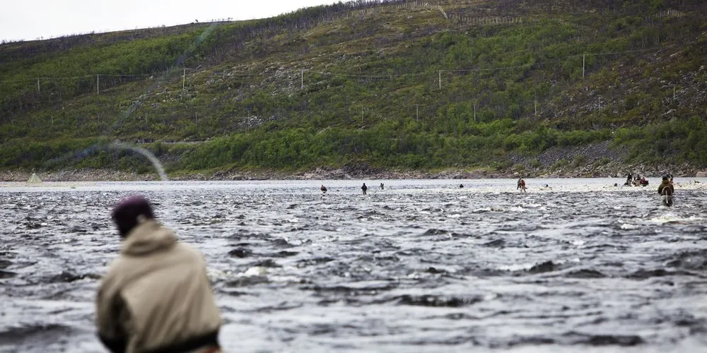 Tanaelva. Foto: Thomas T. Kleiven, DN.
