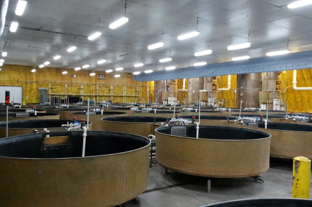 AquaBounty's Indiana facility has been acquired.