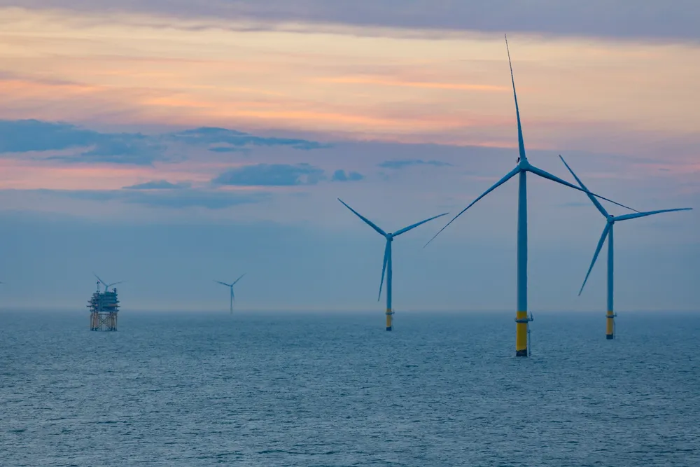 Orsted's Walney Extension wind farm in the Irish Sea, which modelling submitted by the developer shows could be the worst hit by wind wakes from newcomer projects.