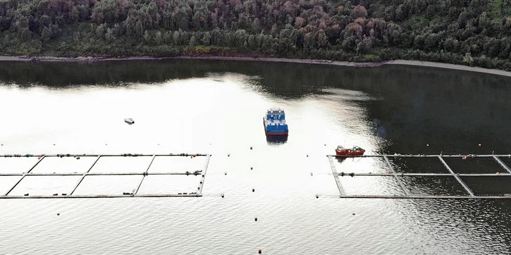 Chile imposes strict rules on the disposal of fish after mass salmon mortalities.