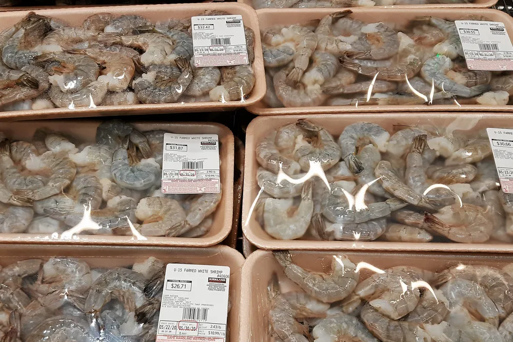 US lawmakers and wild shrimp interests are urging the Trump Administration to crack down on farmed shrimp imports.