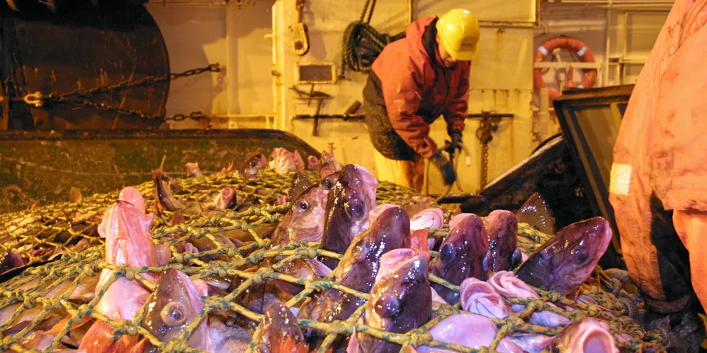 Før alle trålerne har fått levert all fisk de fanget i 2021, kan ikke Fiskeridirektoratet si hvor mye som står i rest fra fjoråret, og salgslagene legge inn nøyaktige kvoteoverføringer på fartøynivå.