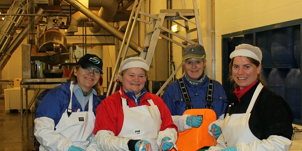 RESTRåSTOFF: Forskere fra Møreforsking med en kasse buklister fra sild. Fra venstre Grete Hansen Aas (Ikke lenger ansatt i Møreforsking), Margareth Kjerstad, Turid Standal Fylling og Wenche Emblem Larssen.