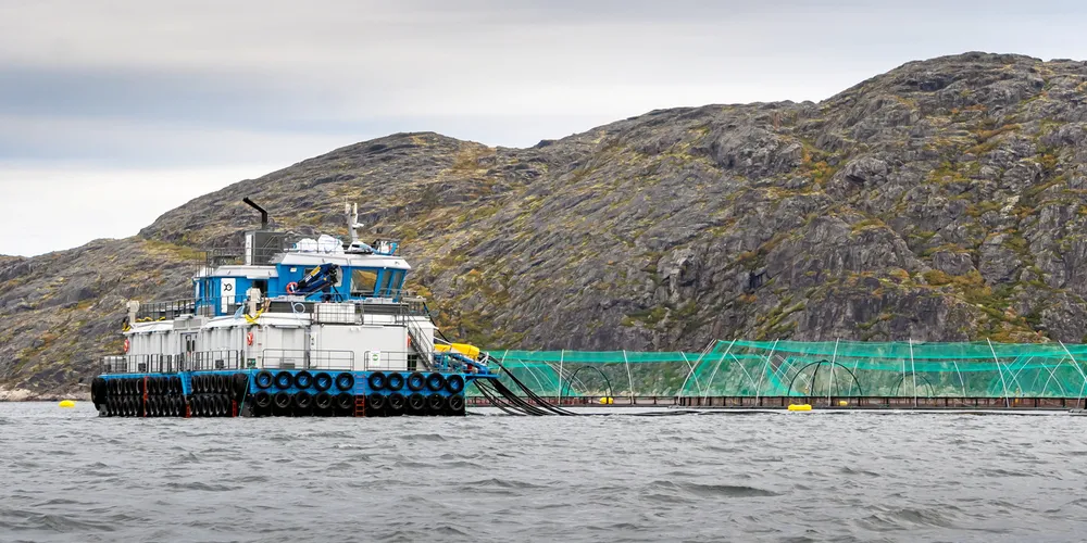 Farmed salmon and trout production in Russia jumped 19.5 percent to 95,000 metric tons.