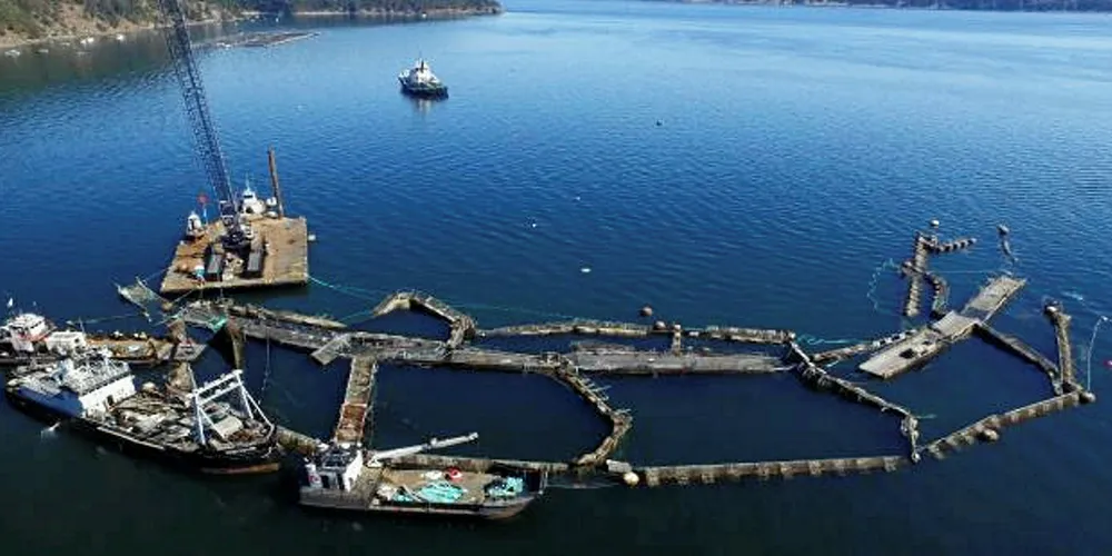 Drone image of Cooke Aquaculture's Cypress Island net pen #2, August 28, 2017.