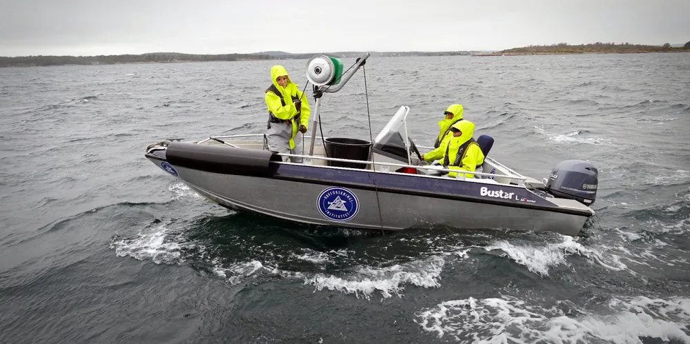 Dersom vi forvalter for klimatilpasning, vil områder med vern og beskyttelse kunne fungere som «landingsplasser» for arter som utvider eller flytter sine utbredelsesområder inn i våre farvann. Bildet viser Havforskere som trekker teiner for å overvåke effekten av bevaringstiltak for hummer.