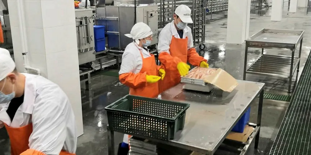Russia’s Dobroflot launches new $27 million polllock plant.
