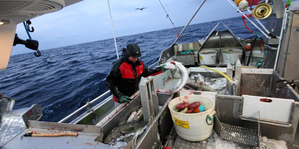 Professor Ola Flåten har flere forslag til hvordan Norge kan stimulere til utvikling i Nord-Troms og Finnmark. Bildet er fra torskefiske i Båtsfjord.