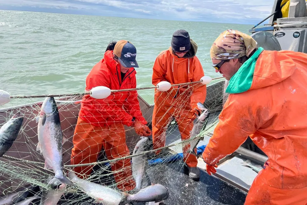 Rogotzke Fish Company hauling in a harvest from the Nushagak in Bristol Bay on June 25, 2025.