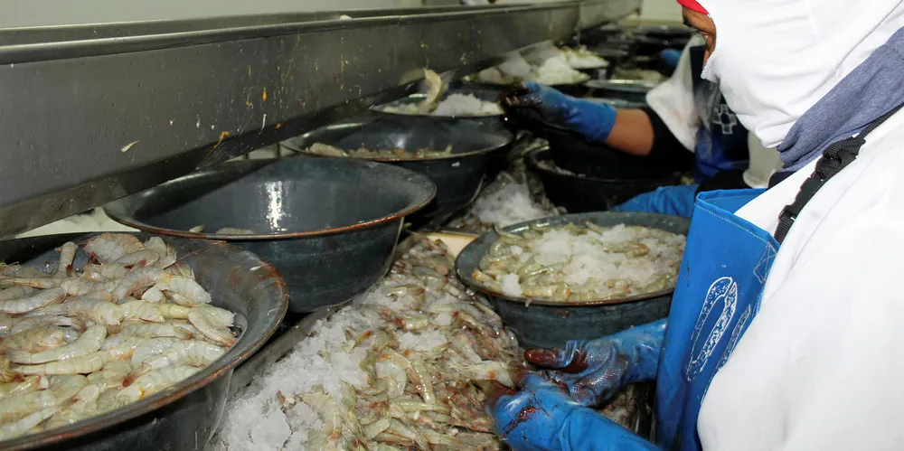 China officially suspended imports from three Ecuadorian shrimp producers due to traces of COVID-19 found on products.