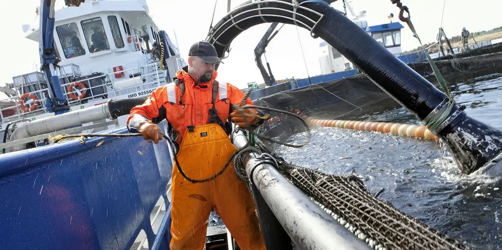 Salmon escapes will be priority this year.