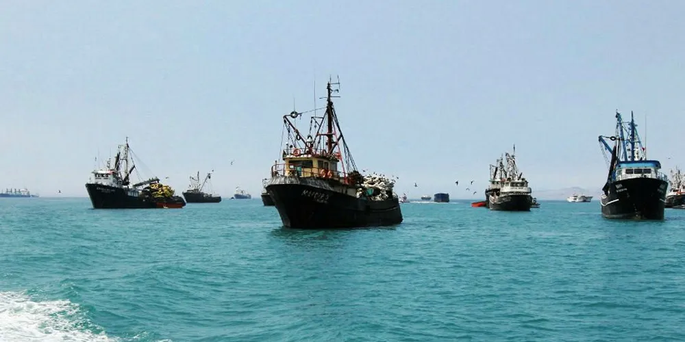 Peru anchovy fishing fleet.
