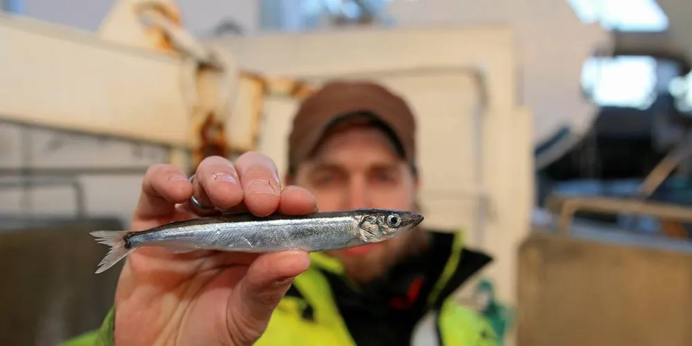 LODDE: Reidar Njåstad holder fram et eksemplar av årets lodde.Foto: Arne Fenstad