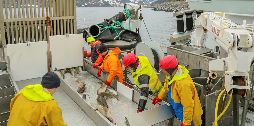 MØRKE SKYER: Markedssituasjonen neste år vil fortsatt ville være preget av koronapandemien, noe som både kan få innvirkning på omsetningen av fisk i markedene, og på fangst og produksjon her hjemme.
