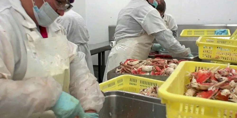 Pacific Seafood is set to pay the EPA for alleged environmental regulations, according to settlement documents.