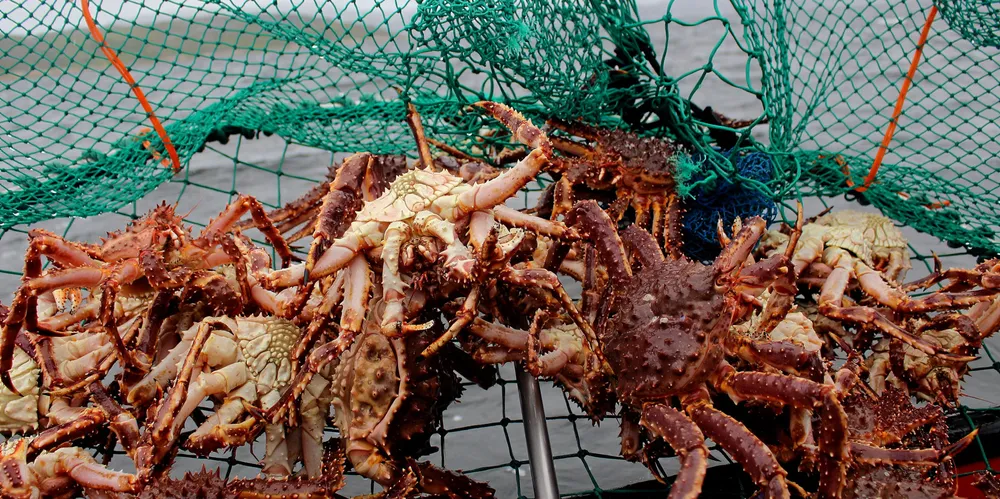 A number of recommendations to improve the fishery must be implemented before October 2028.