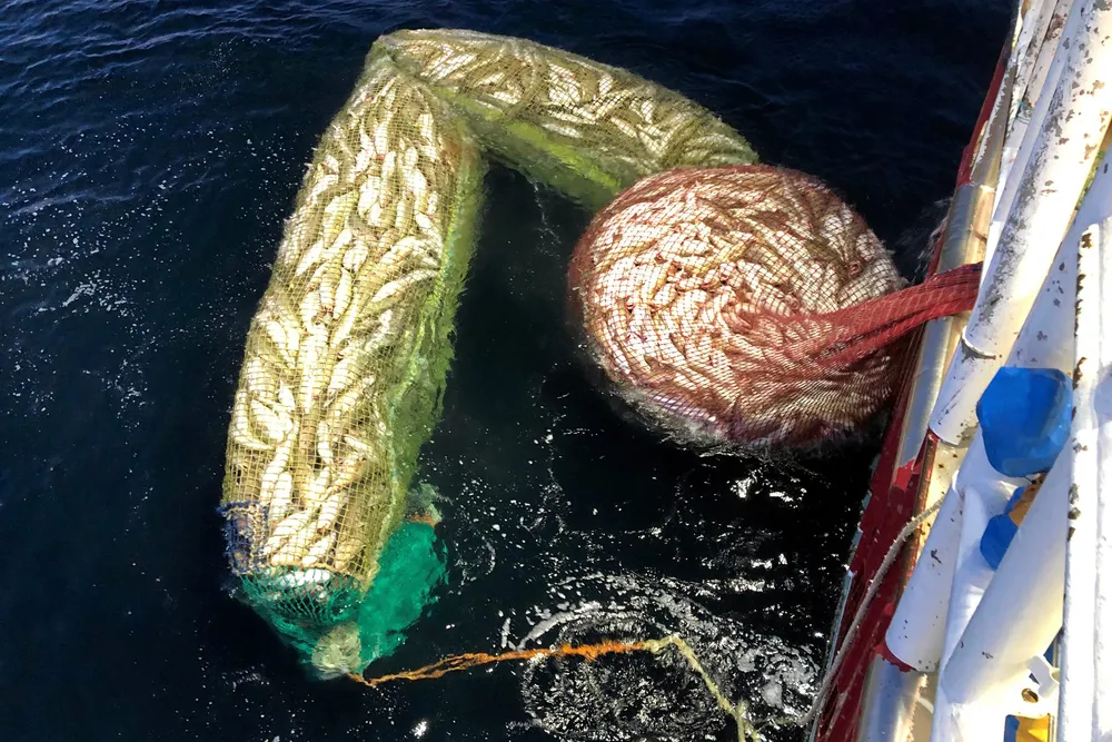 Skipperen er dømt for å fiske med snurrevad innenfor stengt område i Gamvik i Finnmark.
