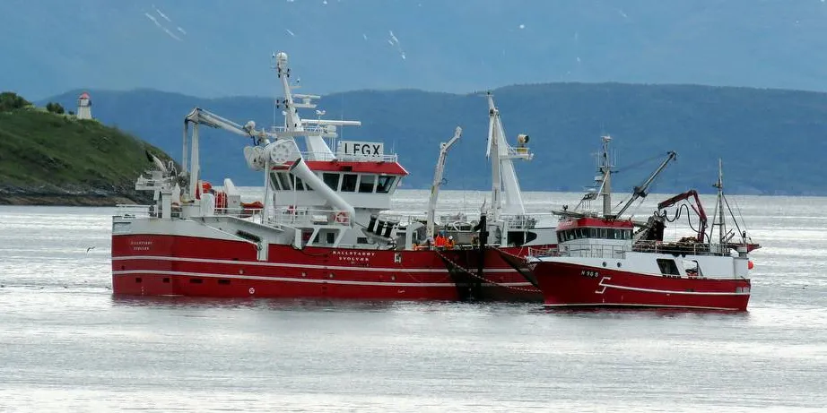 FORRYKKER: Store kystfiskebåter har hentet kvoter i fra mindre båter, noe som kan forrykke fordelingen mellom flåtegruppene, og undergrave finnmarksmodellen, mener Sintef-forsker Dag Standal.Ill.foto: Jon Eirik Olsen