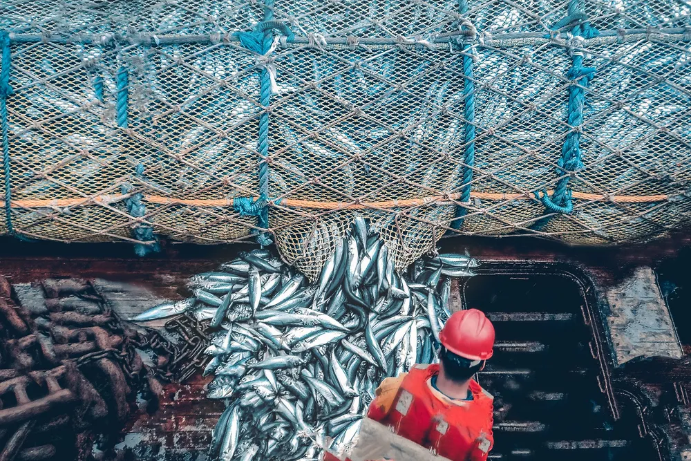 The implementation of new technology and fishing gear is crucial to industry efforts to become more sustainable, particularly as seafood buyers become more demanding in this regard.