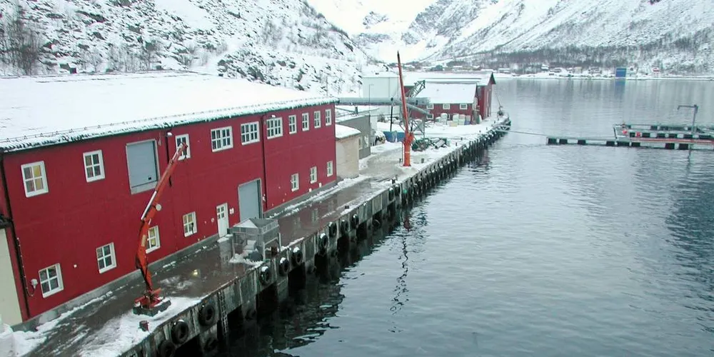 TAPTE: Polarctic Seafood holder til i Øksfjord i Loppa kommune i Finnmark. Selskapet må betale erstatning til tidligere daglig leder.Foto: Geir Bjørn Nilsen